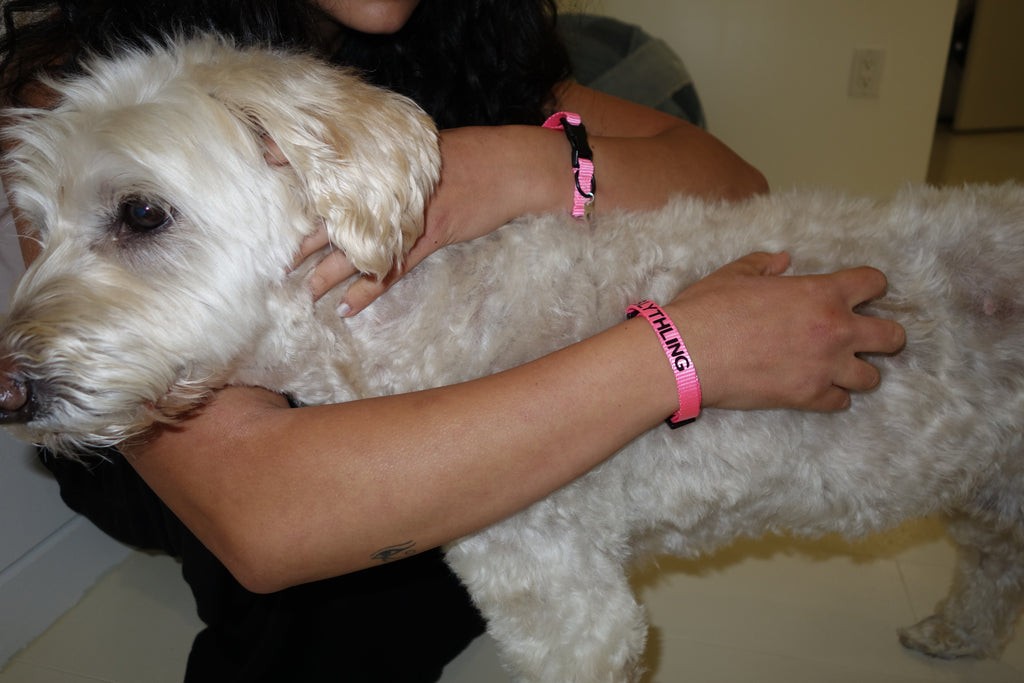 BLYTHLING BRACELET